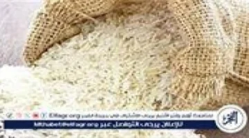 سعر الأرز الأبيض والشعير في أسواق المنيا يوم الخميس 27 نوفمبر 2025